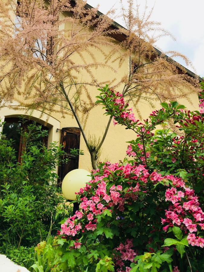 לה קאנורג Les Gites Du Moulin D Olt מראה חיצוני תמונה